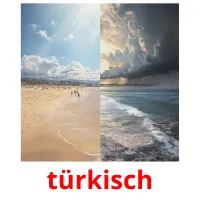 türkisch карточки энциклопедических знаний