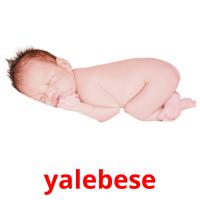 yalebese picture flashcards