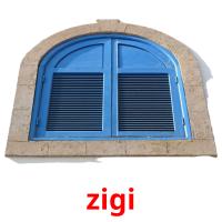 zigi picture flashcards