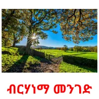 ብርሃነማ መንገድ Bildkarteikarten