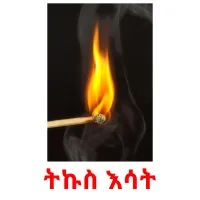 ትኩስ እሳት Bildkarteikarten