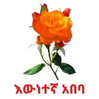 እውነተኛ አበባ Bildkarteikarten