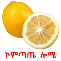 ኮምጣጤ  ሎሚ Bildkarteikarten