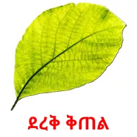 ደረቅ ቅጠል Bildkarteikarten