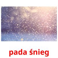 pada śnieg ansichtkaarten