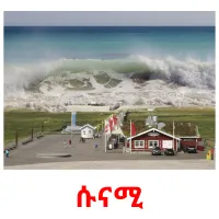 ሱናሚ kuvakortit