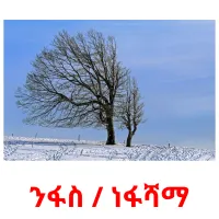 ንፋስ / ነፋሻማ kuvakortit