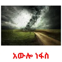 አውሎ ነፋስ kuvakortit
