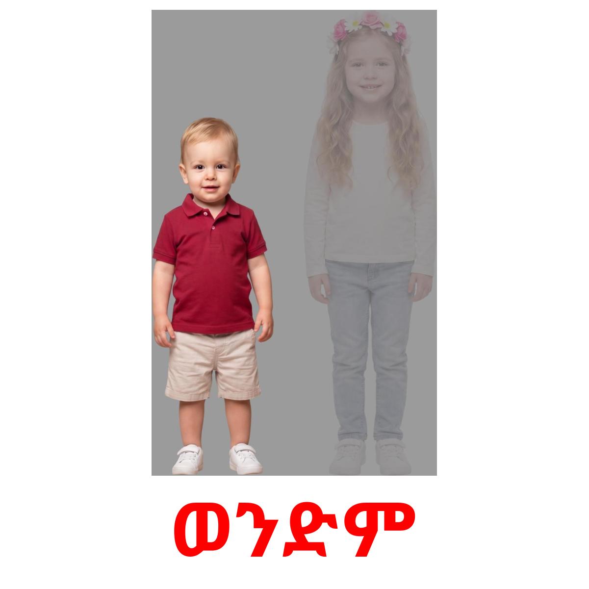 Am Using Flacard 32 Printable Family members Flashcards in Amharic (Free PDF)