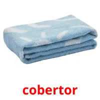 cobertor Tarjetas didacticas