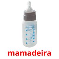 mamadeira picture flashcards