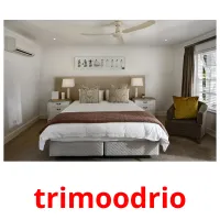 trimoodrio ansichtkaarten