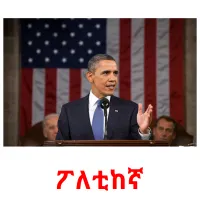 ፖለቲከኛ picture flashcards