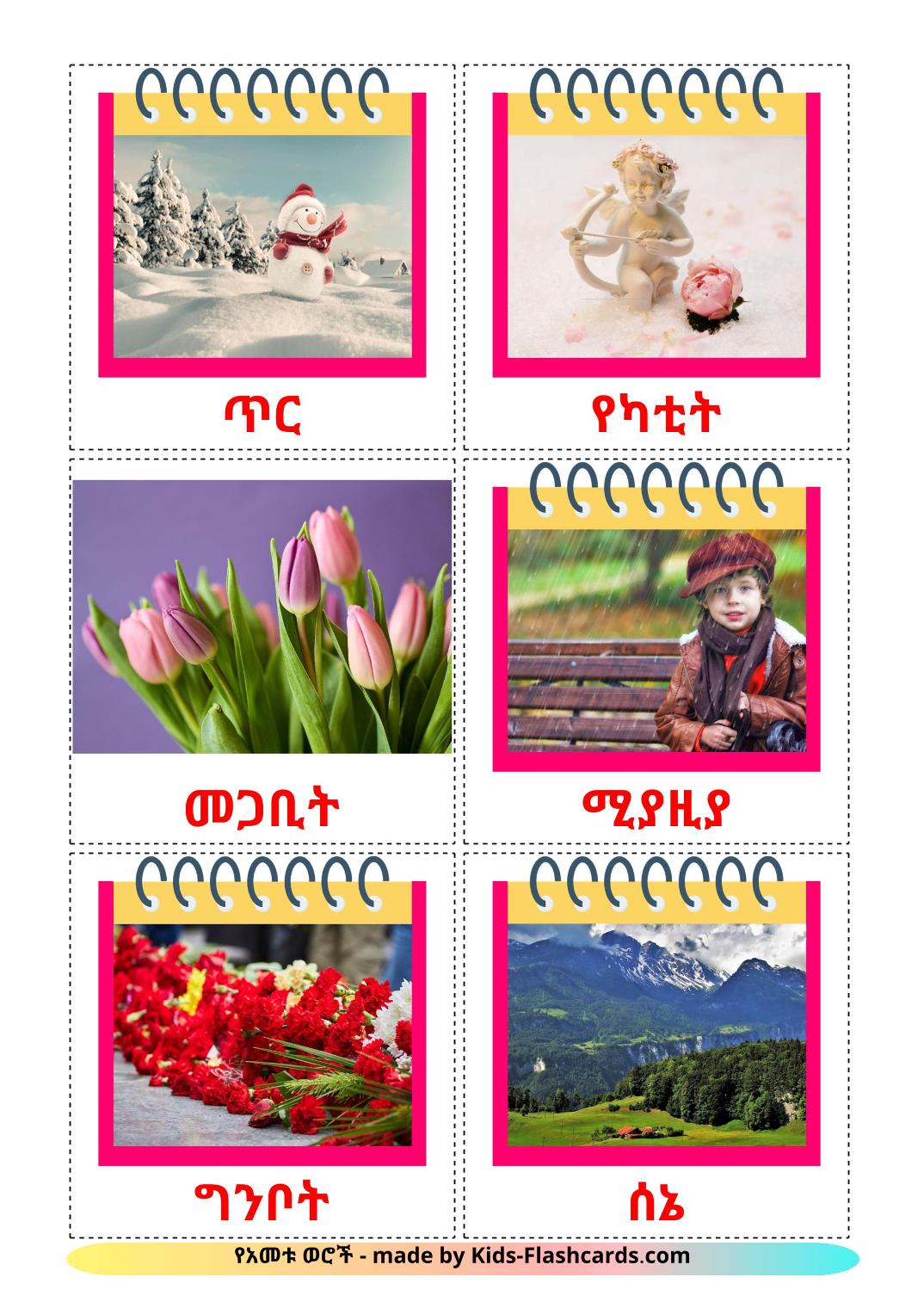 Months of the Year - 12 Free Printable amharic Flashcards 