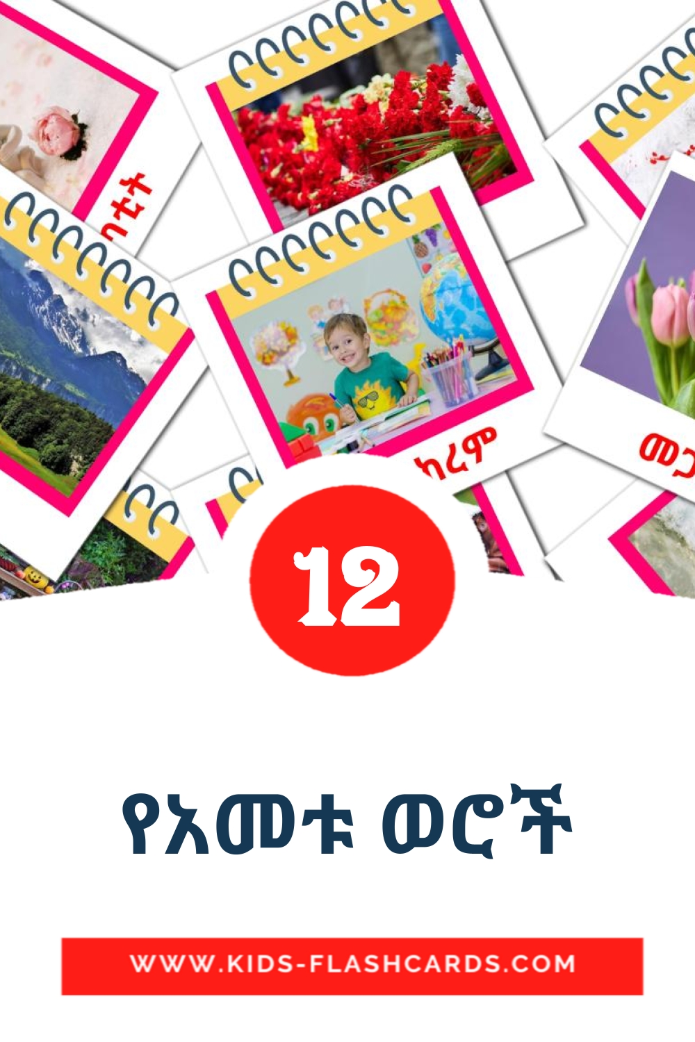12 የአመቱ ወሮች Picture Cards for Kindergarden in amharic