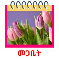 መጋቢት Bildkarteikarten