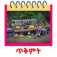 ጥቅምት Bildkarteikarten