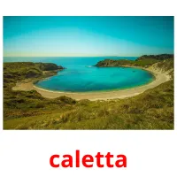 caletta flashcards illustrate