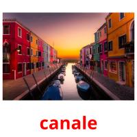 canale flashcards illustrate