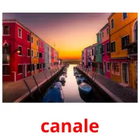 canale flashcards illustrate