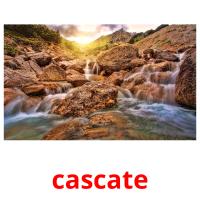 cascate picture flashcards
