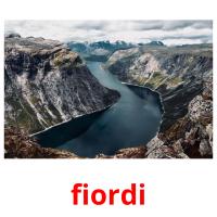 fiordi picture flashcards