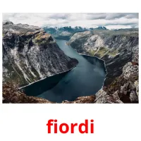 fiordi flashcards illustrate