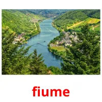 fiume flashcards illustrate