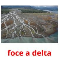 foce a delta Tarjetas didacticas