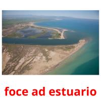 foce ad estuario Tarjetas didacticas