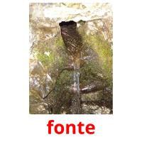 fonte picture flashcards