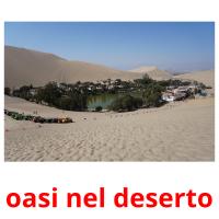 oasi nel deserto flashcards illustrate