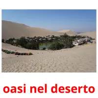 oasi nel deserto flashcards illustrate