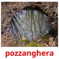 pozzanghera flashcards illustrate