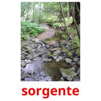 sorgente picture flashcards