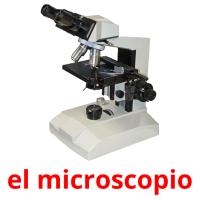 el microscopio picture flashcards