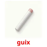 guix flashcards illustrate