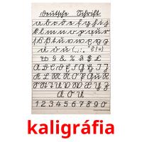 kaligráfia flashcards illustrate