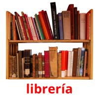 librería picture flashcards