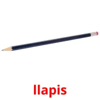 llapis flashcards illustrate