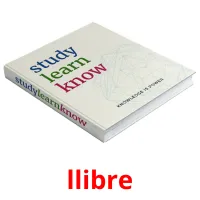 llibre flashcards illustrate