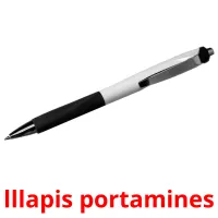 lllapis portamines flashcards illustrate