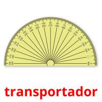 transportador picture flashcards