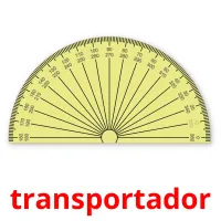 transportador flashcards illustrate