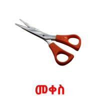 መቀስ picture flashcards