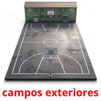 campos exteriores picture flashcards