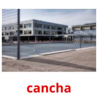 cancha cartes flash