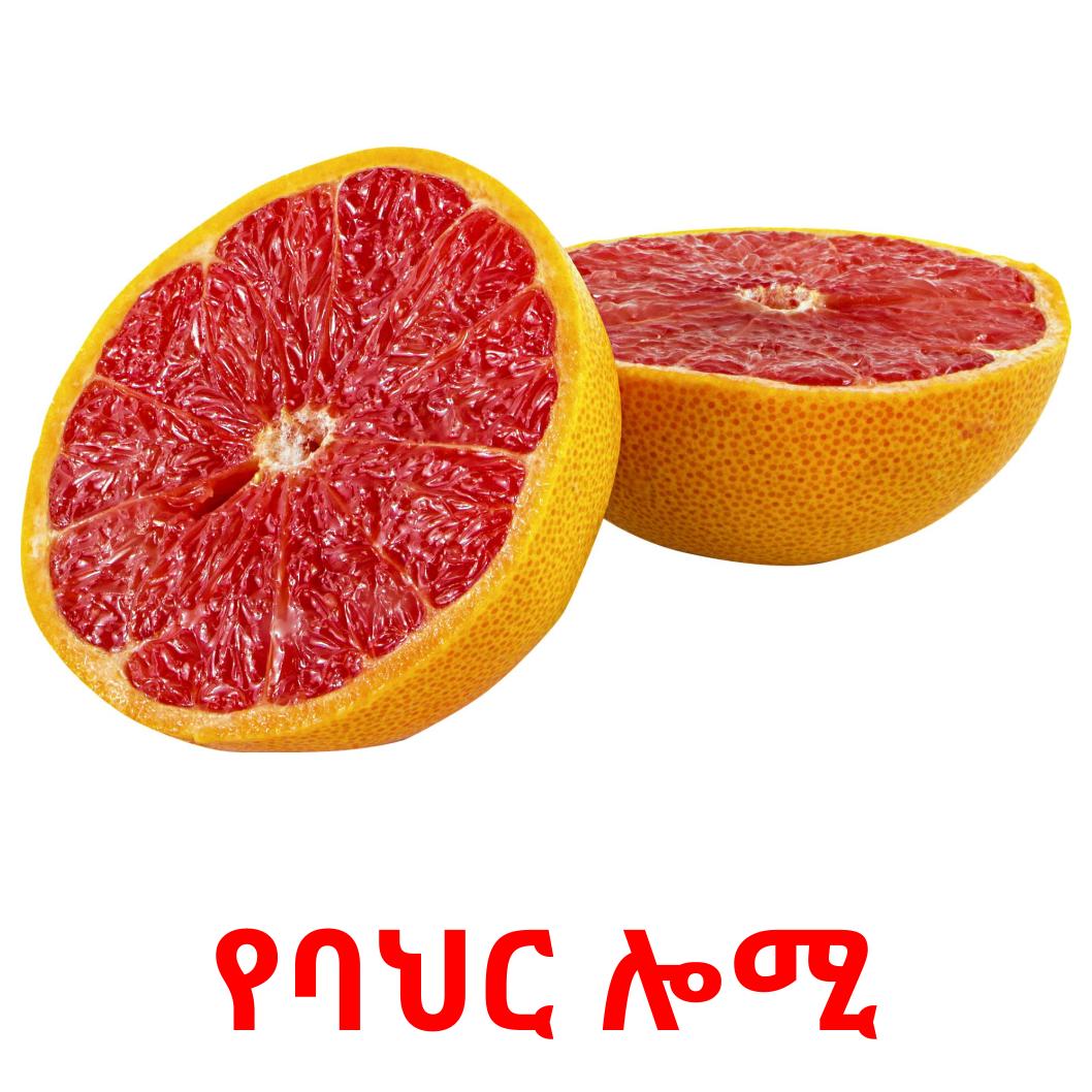 20 FREE Fruits Flashcards | PDF | Amharic Words