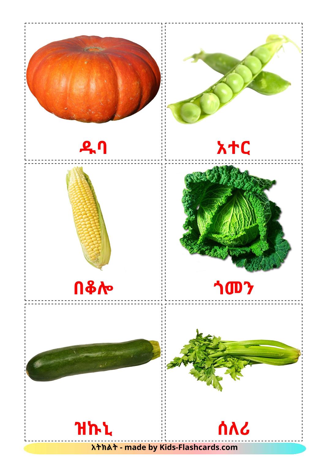 Vegetables - 29 Free Printable amharic Flashcards 