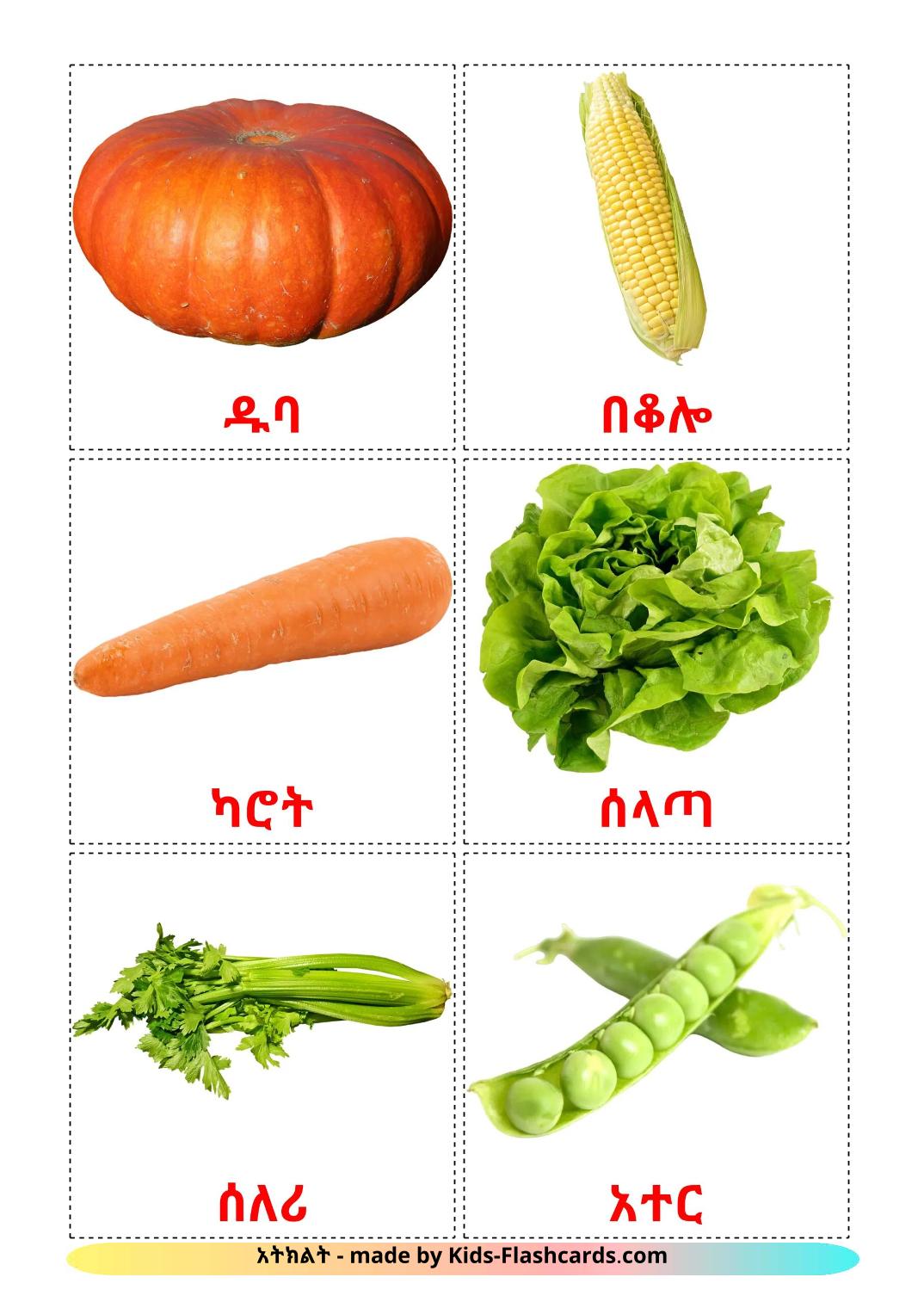 Gemüse - 30 kostenlose, druckbare Amharische Flashcards 